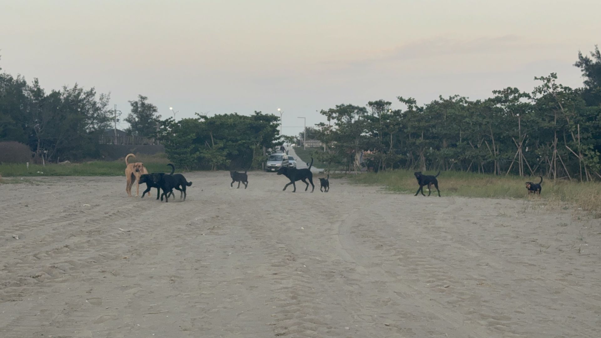 ▲台南海邊賞夕陽突遇「20黑幫」包圍追趕 民眾嚇瘋奔逃:險遇害(圖/記者王俊勝 攝;未經授權請勿翻攝)