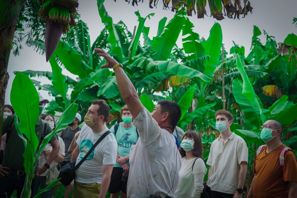 S__460038155_0 - 報新聞 Mega News