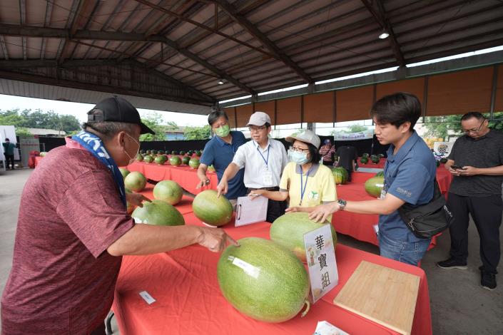 最甜夏季在雲林！2026年雲林西瓜評鑑登場 歡迎大家來雲林吃西瓜！