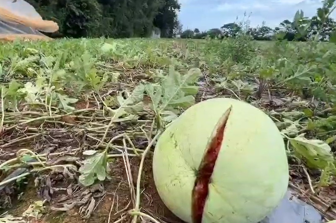 48 1