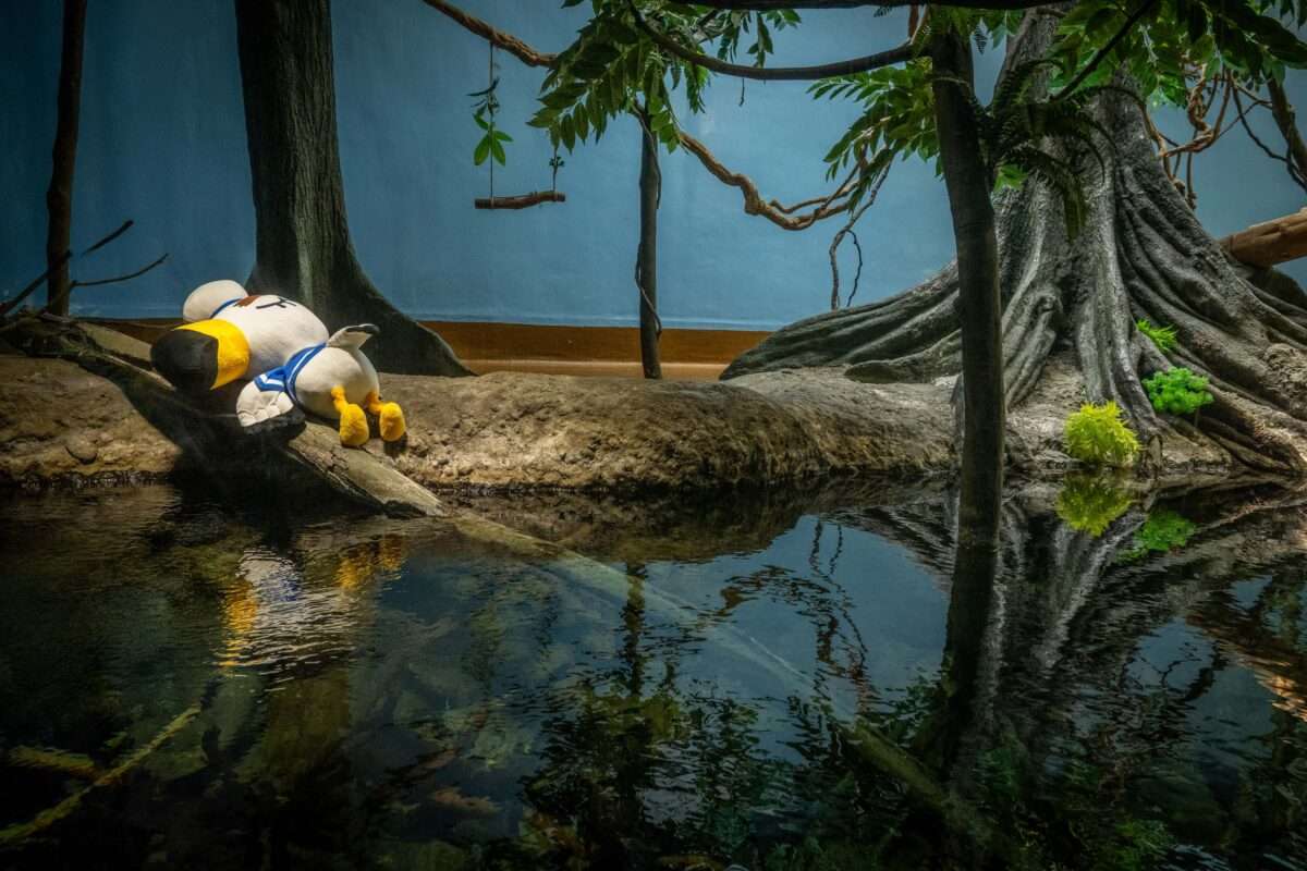 圖9 西施惠、狸克、呂遊等人氣角色也將現身館內各處，陪伴大家展開探索旅程。